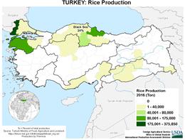 images\TU\cropprod\Turkey_Rice_preview.jpg